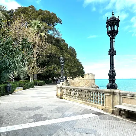 Coqueto En El Centro De