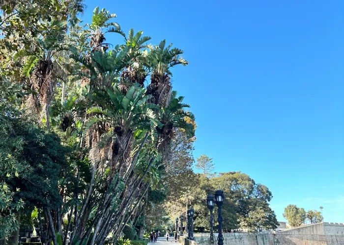 Coqueto En El Centro De *