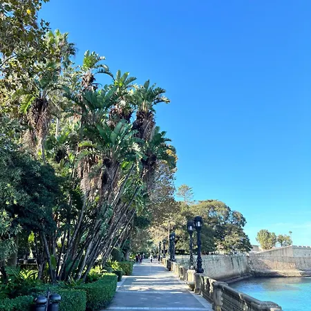 Coqueto En El Centro De *